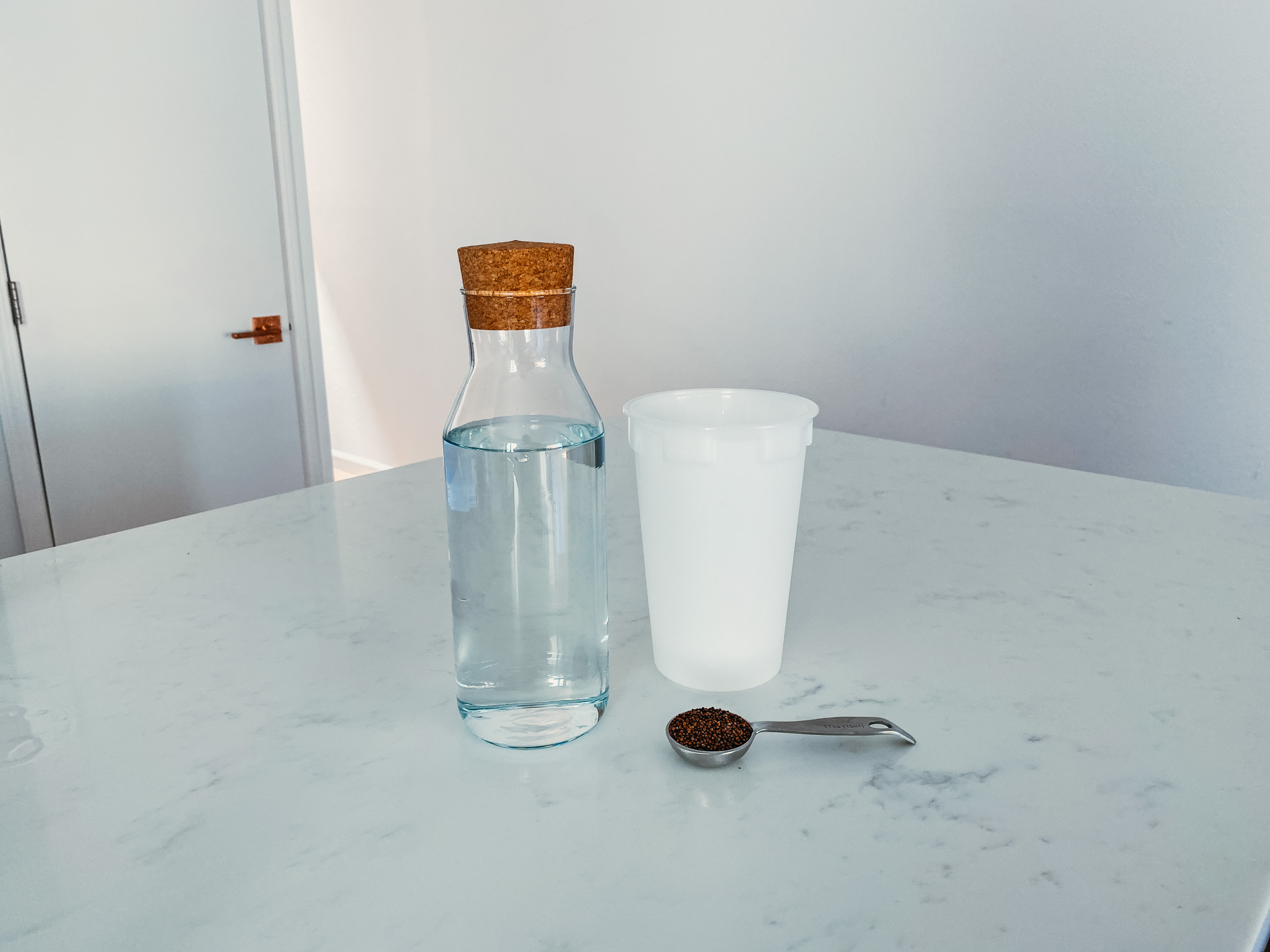 Broccoli seed, water, and a container.